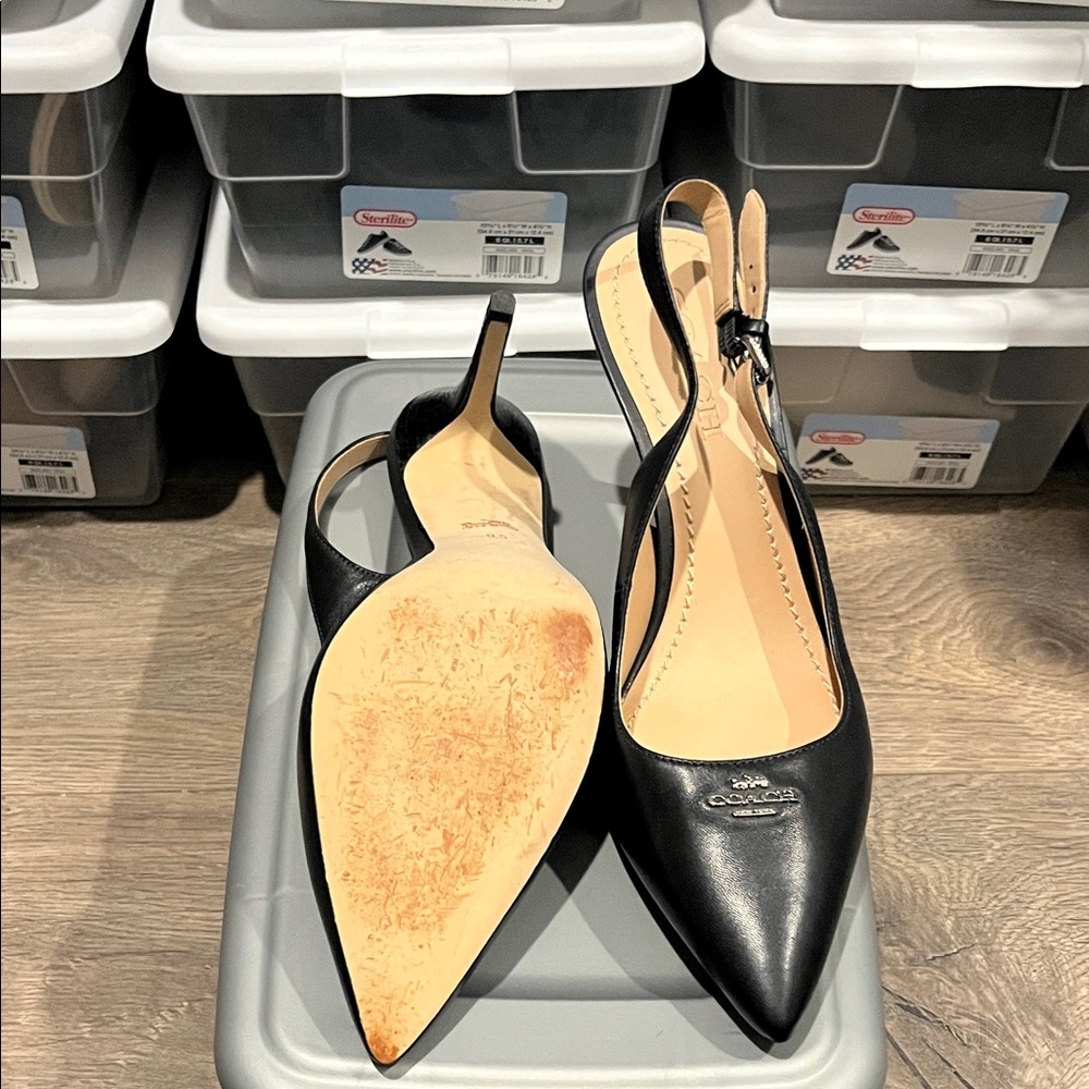 Coach Leather Pointed Toe Slingback Heels - Dark Blue - Picture 2 of 4